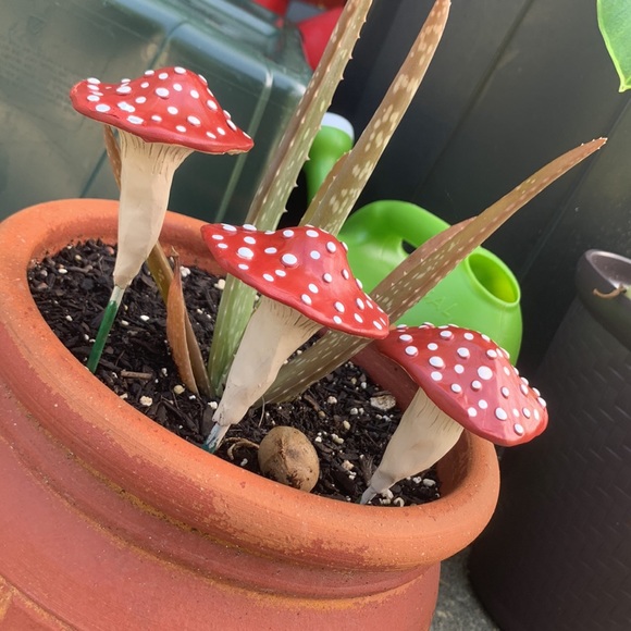 Hand Crafted Other - MUSHROOM 🍄 Garden Stakes w/ SPOTS! Set of 3